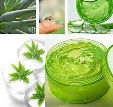 Aloe Vera Gel