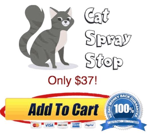 Buy1